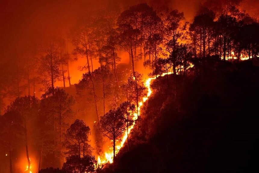 California Wildfires: 4,000 Fires, 240,000 Acres Burned in 2024
