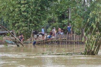 Assam flood crisis continues, 200,000 affected as major rivers remain above danger level